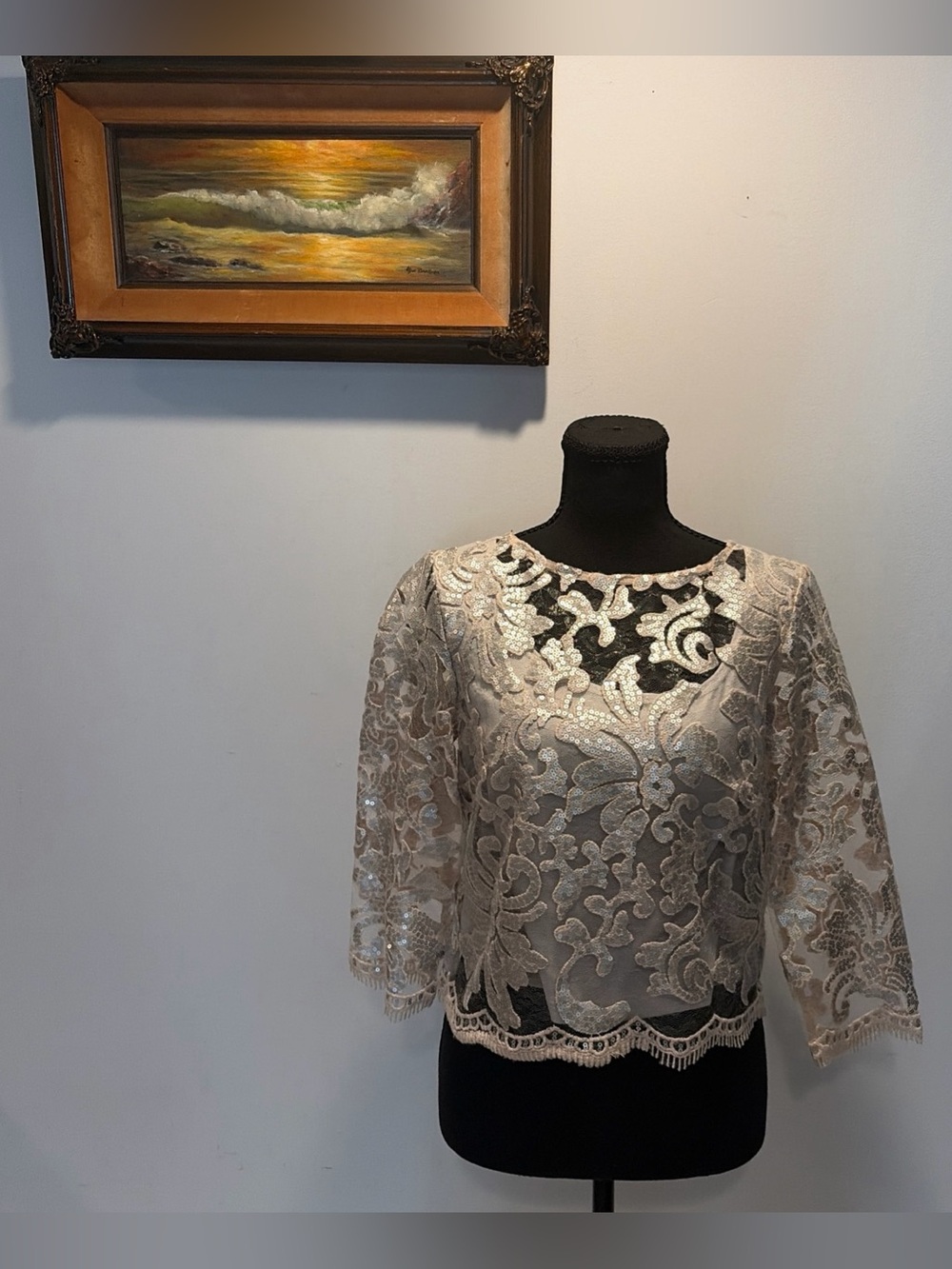Embroidered Lace Top Sequins Champagne Silver Overlay Romantic Fairy